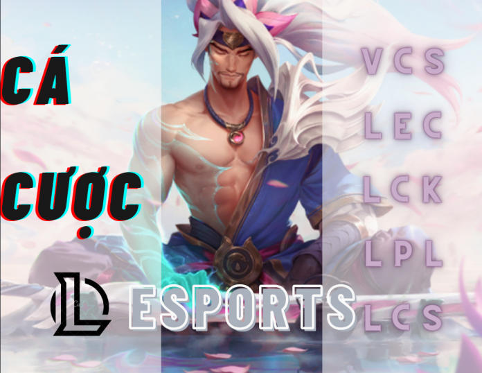 Trang đặt cược esports